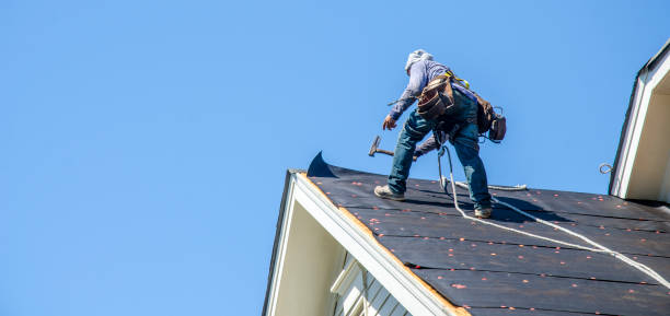 Best Roof Gutter Cleaning  in Vander, NC